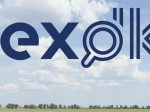 lex.dk´s logo